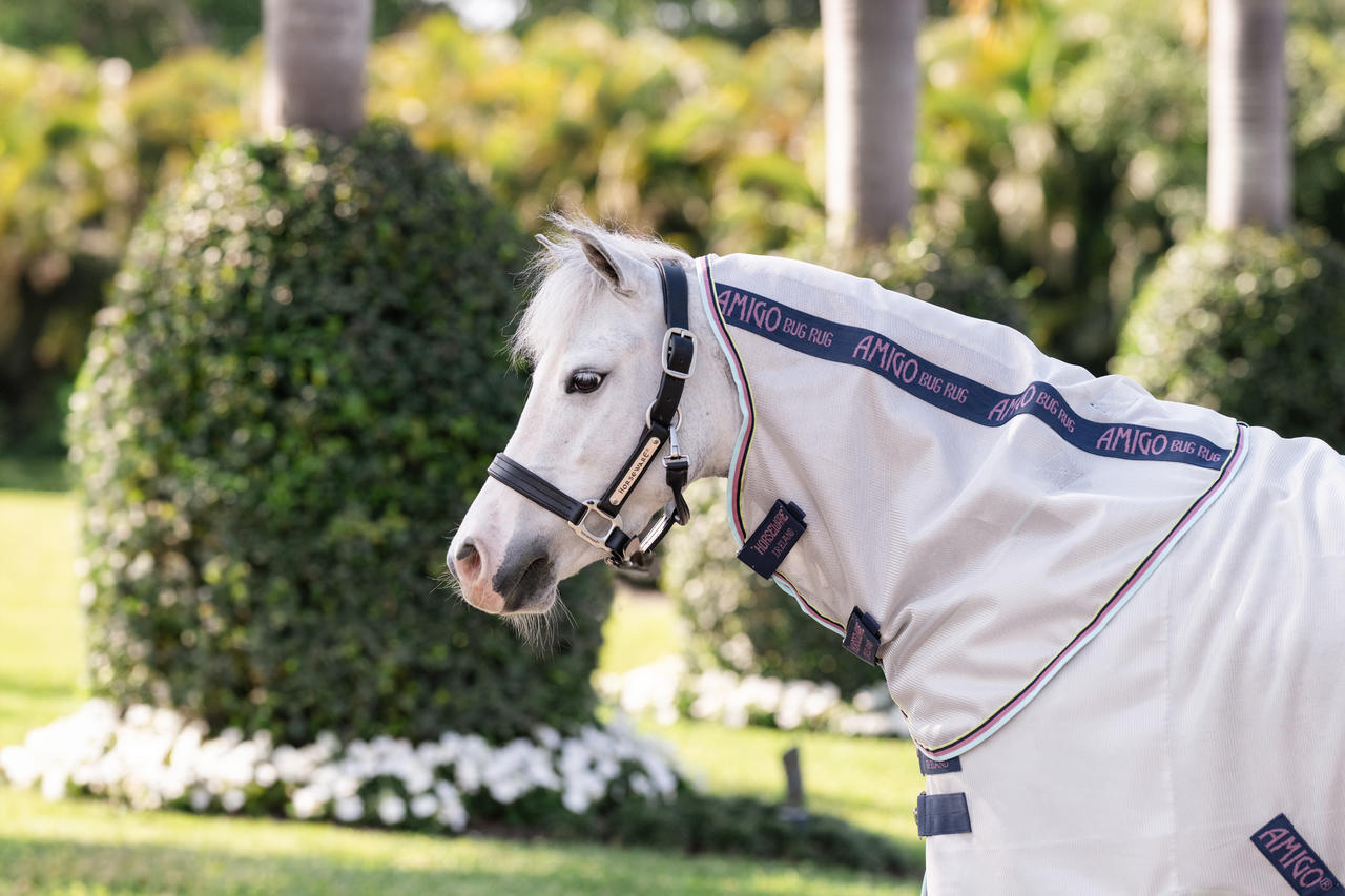 Horseware Coperta antimosche Amigo Plus per pony
