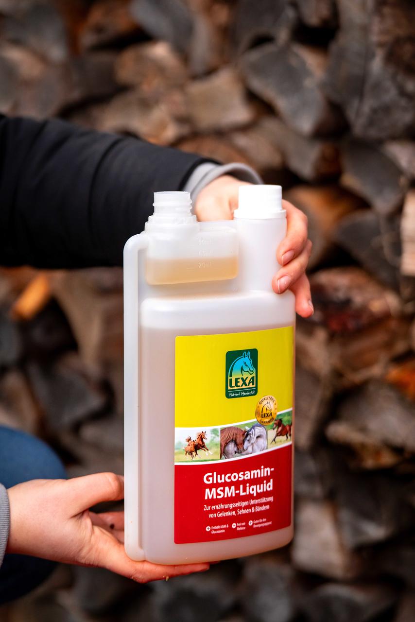 LEXA Glucosamin-MSM-Liquid