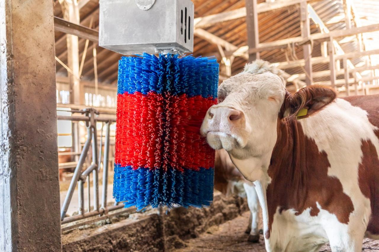 Kerbl Kuhputzmaschine HAPPYCOW MidiSwing