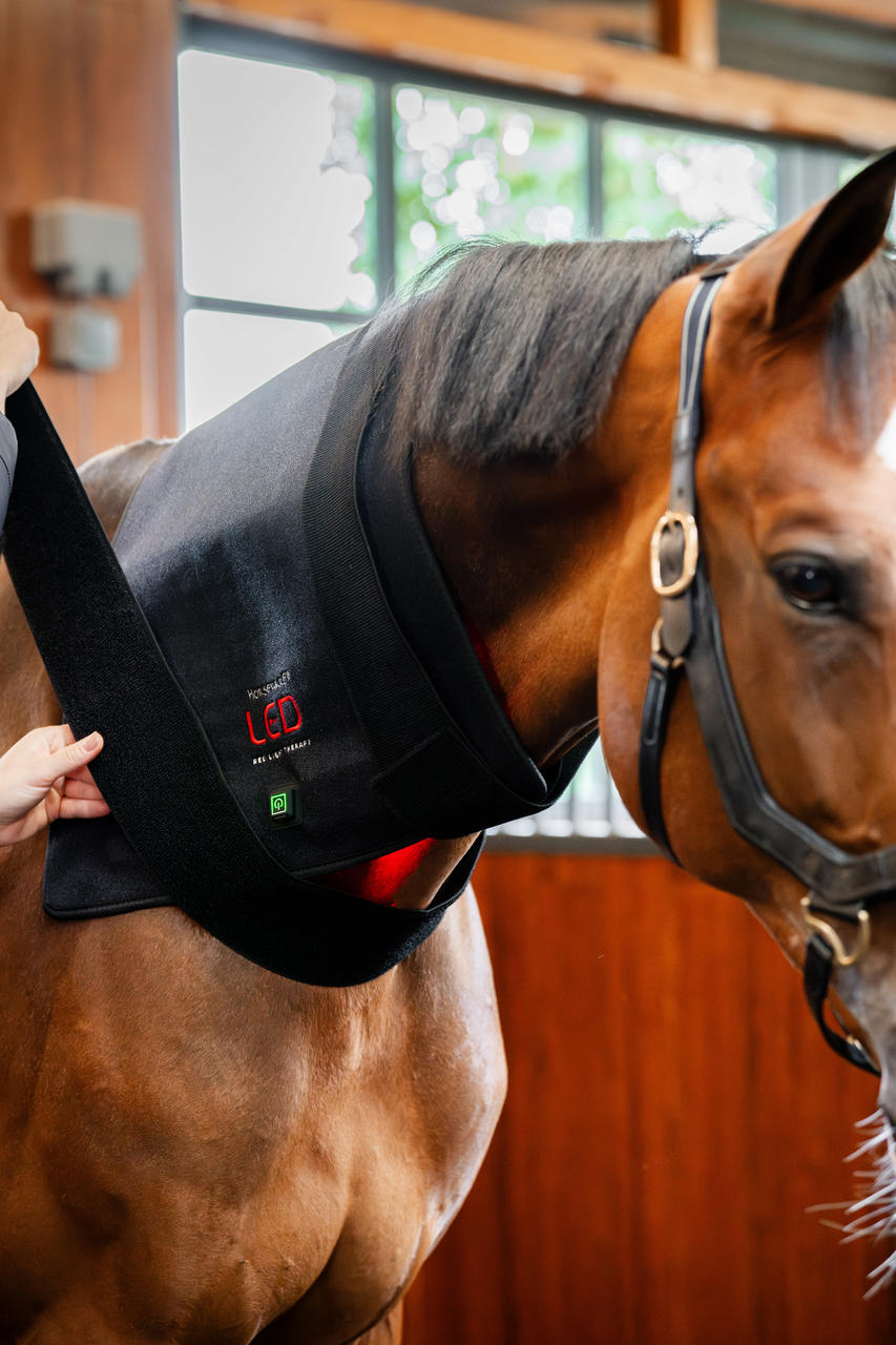 Horseware Cuscinetto per terapia a luce rossa LED