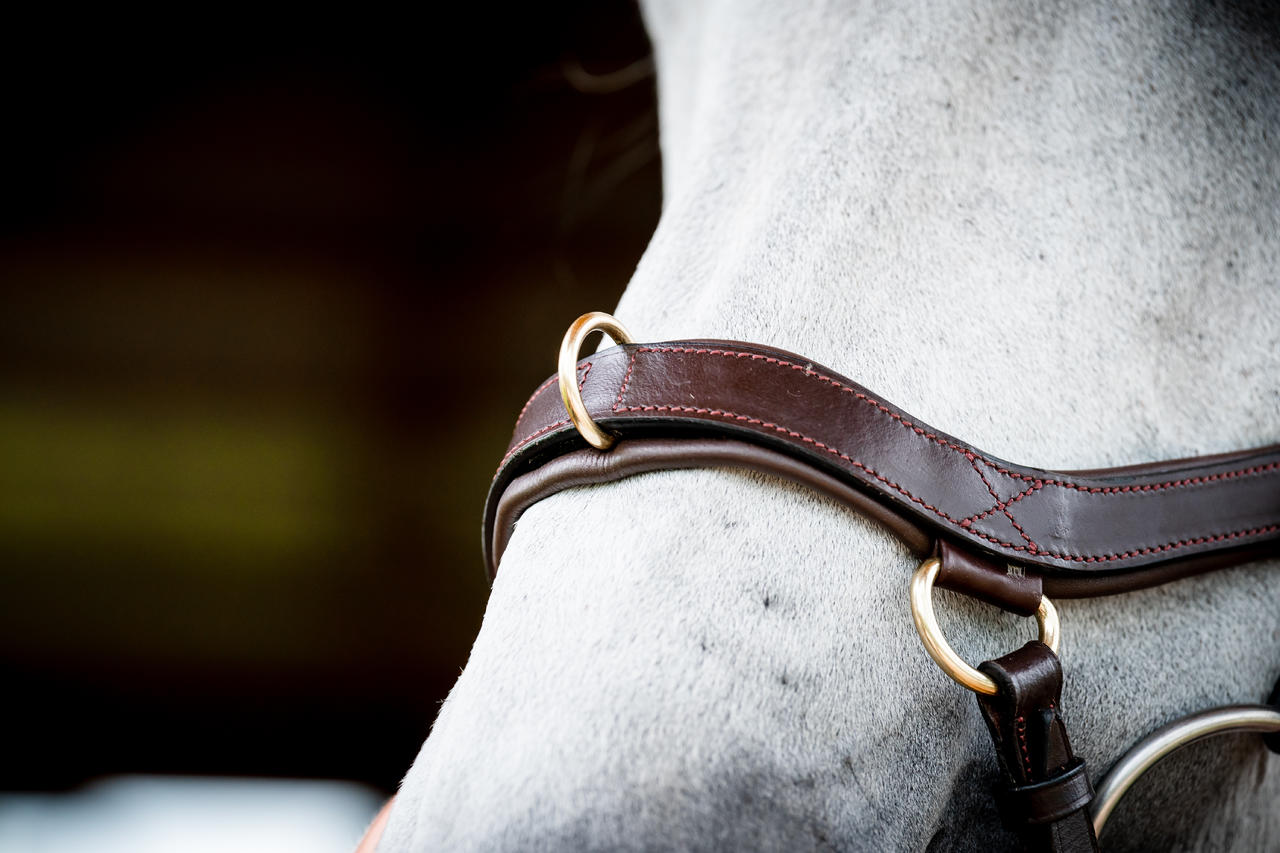 Horseware Briglia multiuso Micklem 2
