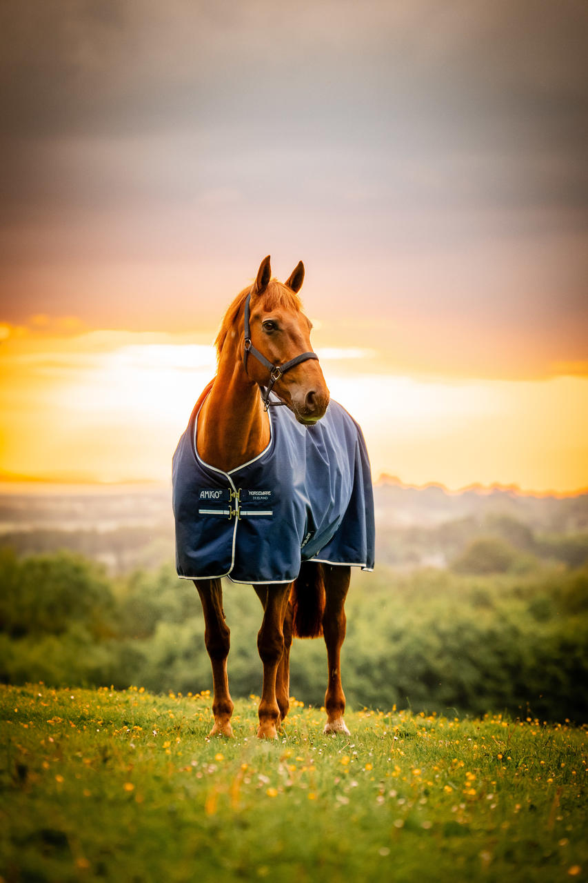 Horseware Amigo Ripstop 900D Pony Turnout 50g