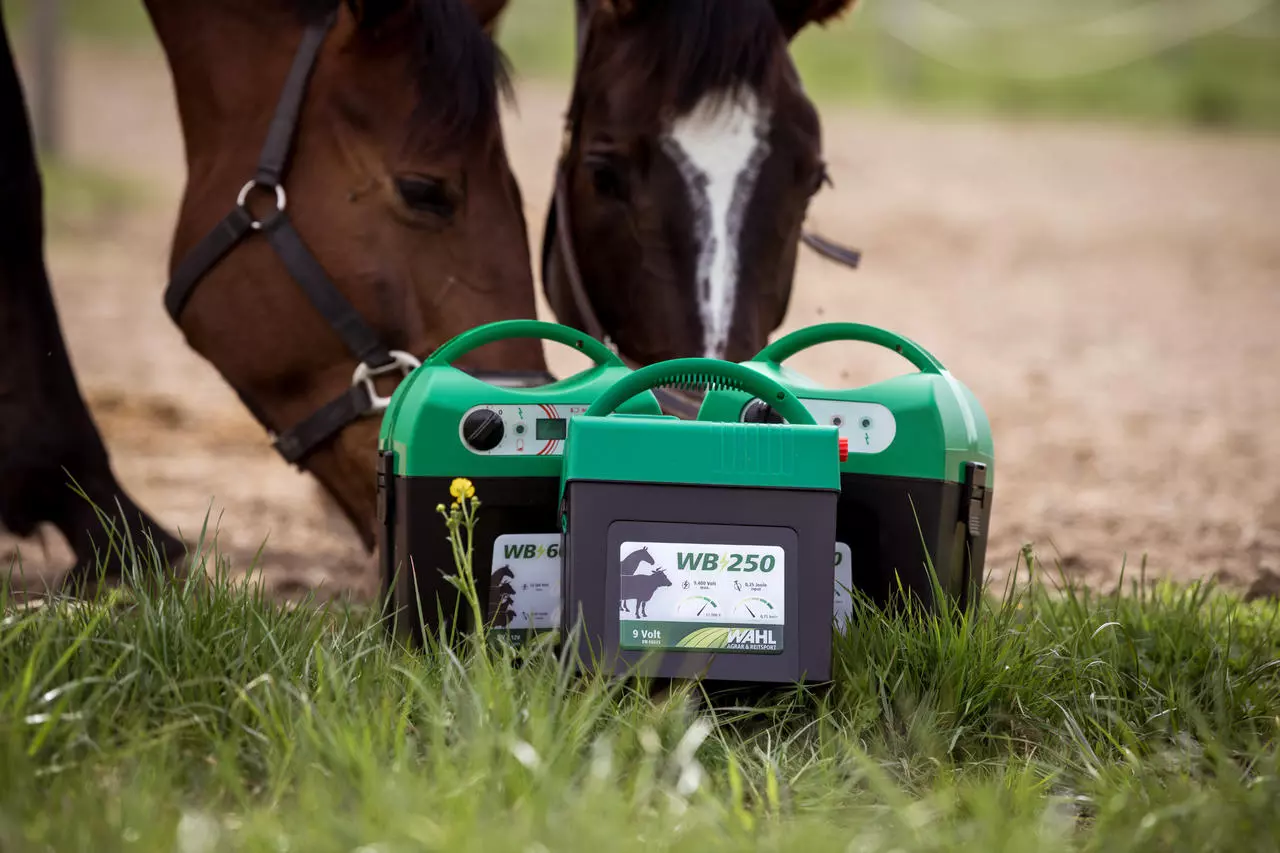 WAHL-FENCE WB 250 - 9 V-Batterie Weidezaungerät