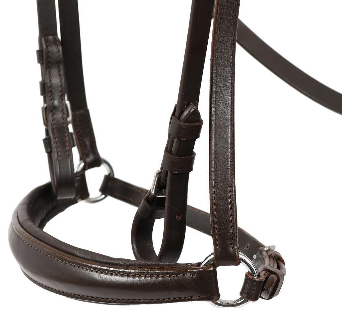 Hans Melzer Snaffle Calgary, Hannoverian