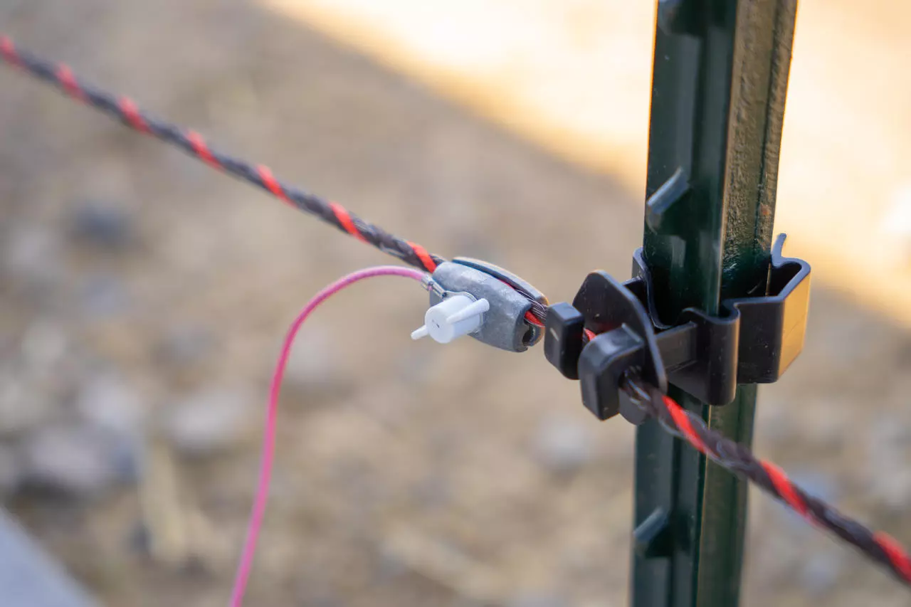 AKO T-Pfosten Seil-/Litzenisolator 25 Stück