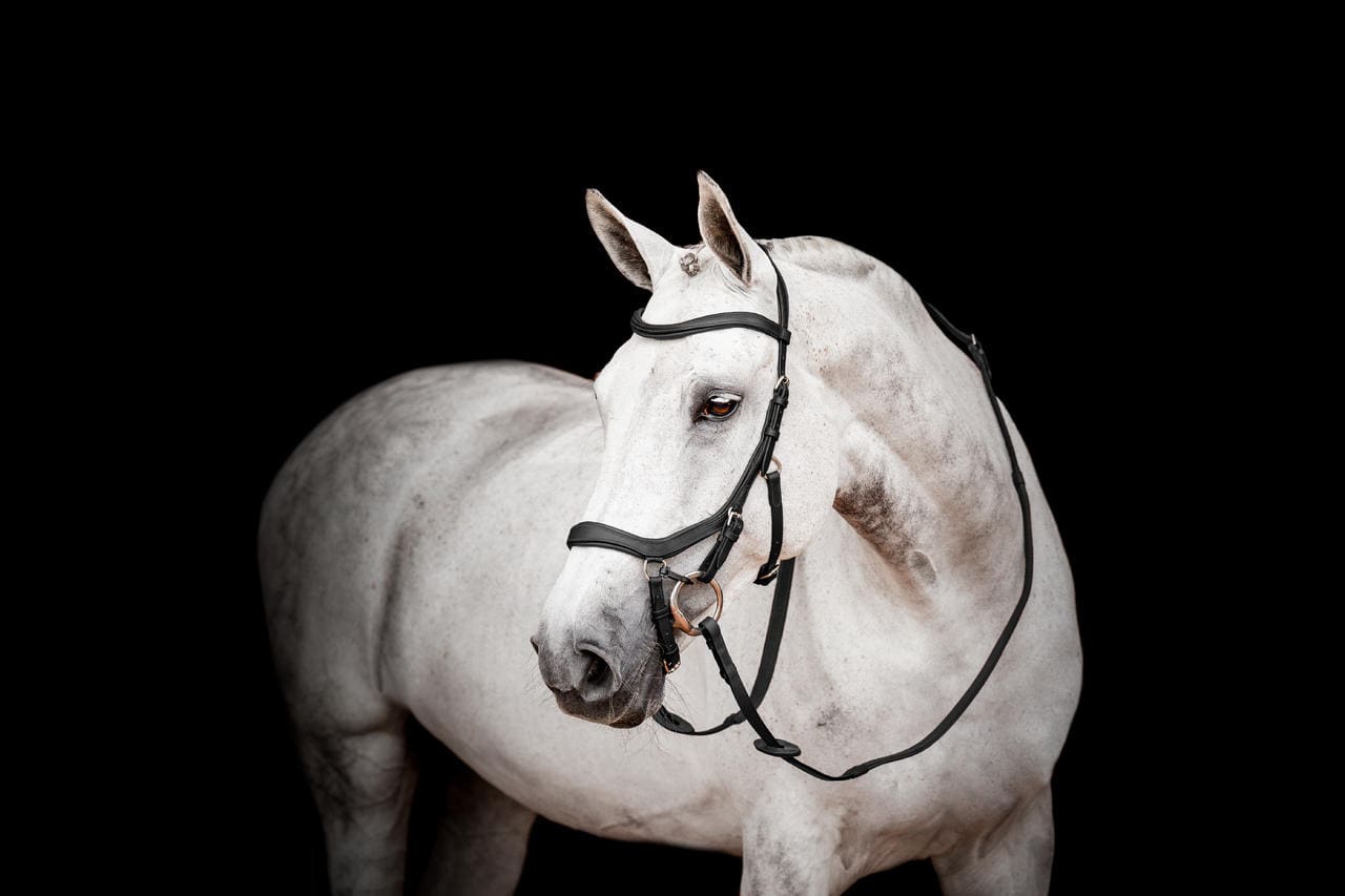 Horseware Micklem 2 Briglia Competition