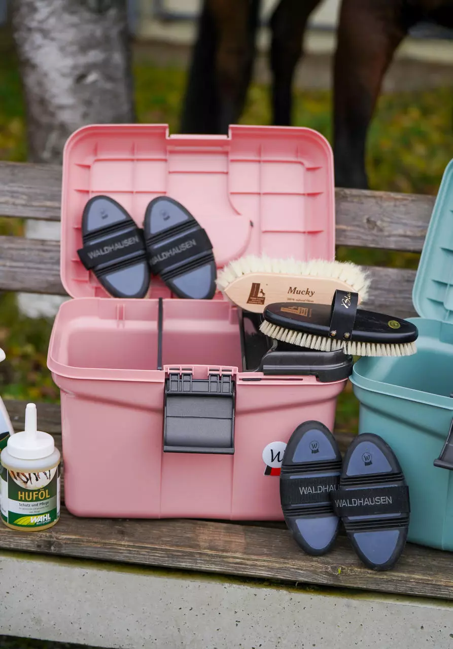 Waldhausen Putzbox ECO