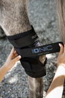 Horseware Ionic Hock Boots