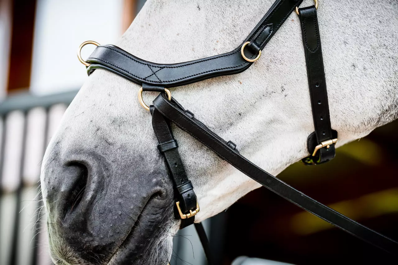Horseware Micklem 2 Multi Bridle