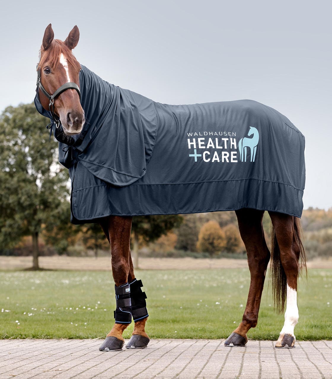 Waldhausen Health + Care Copricollo Health + Care Ice Layer