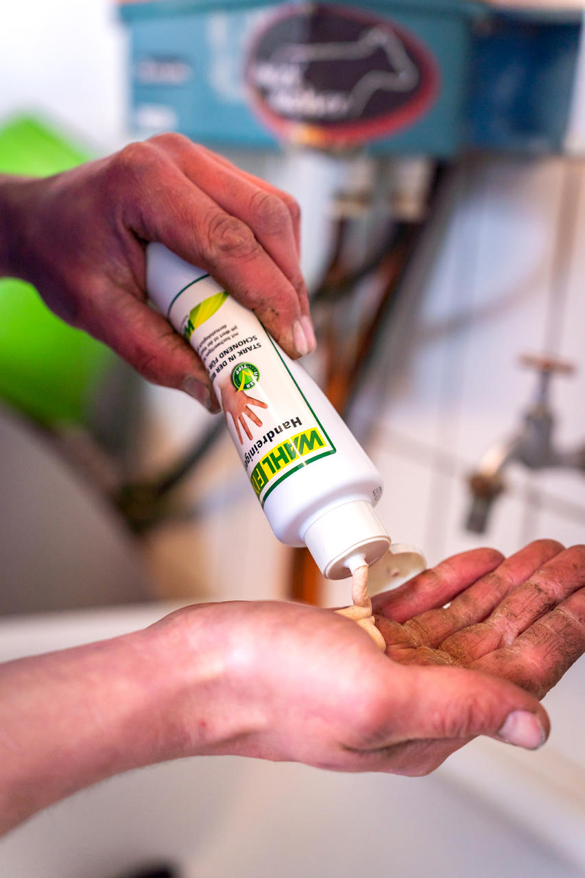 WAHL-Hausmarke WAHLFIX - Handreiniger