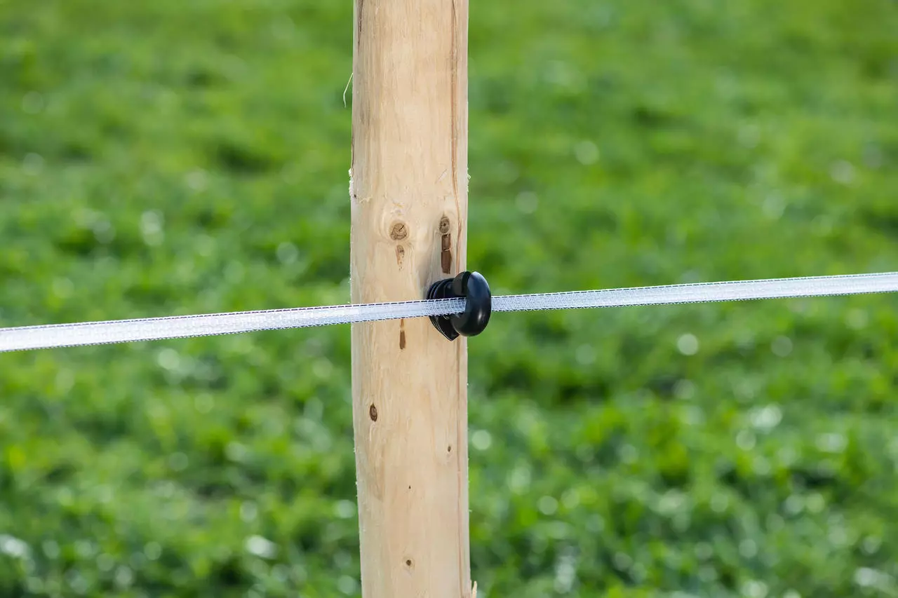 WAHL-FENCE Weidezaunband - ULTRA - 12,5 mm / 200 m