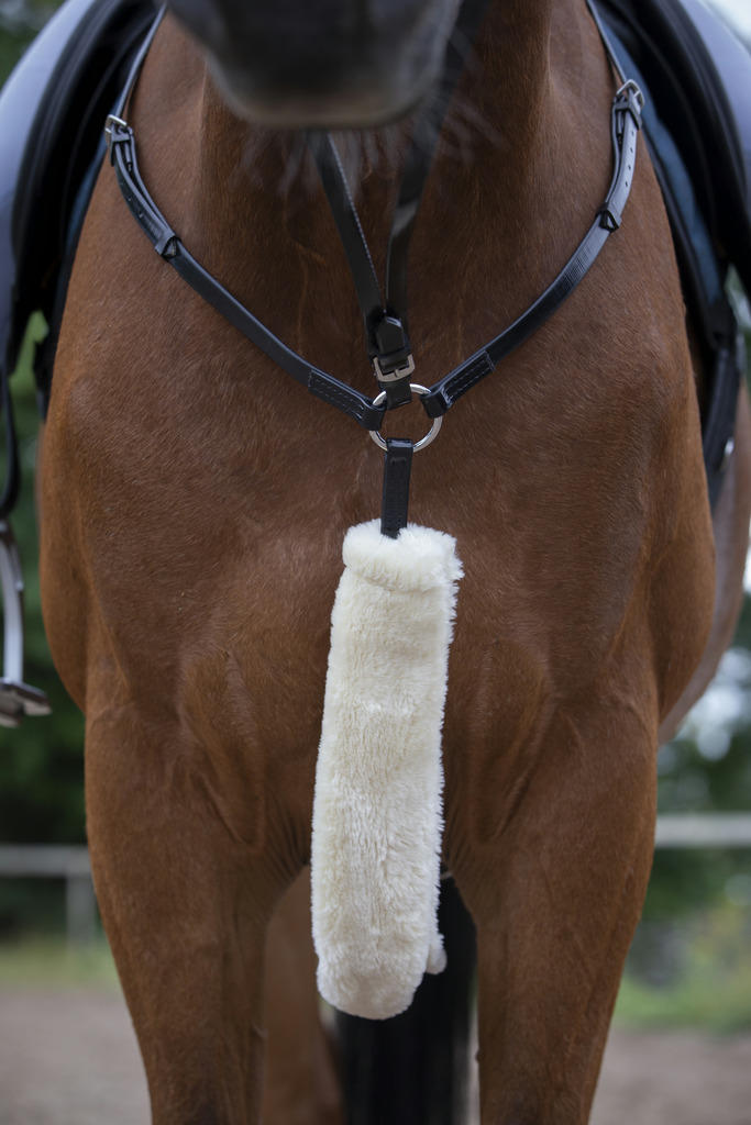 Equithème „Teddy" Vorderzeugschoner