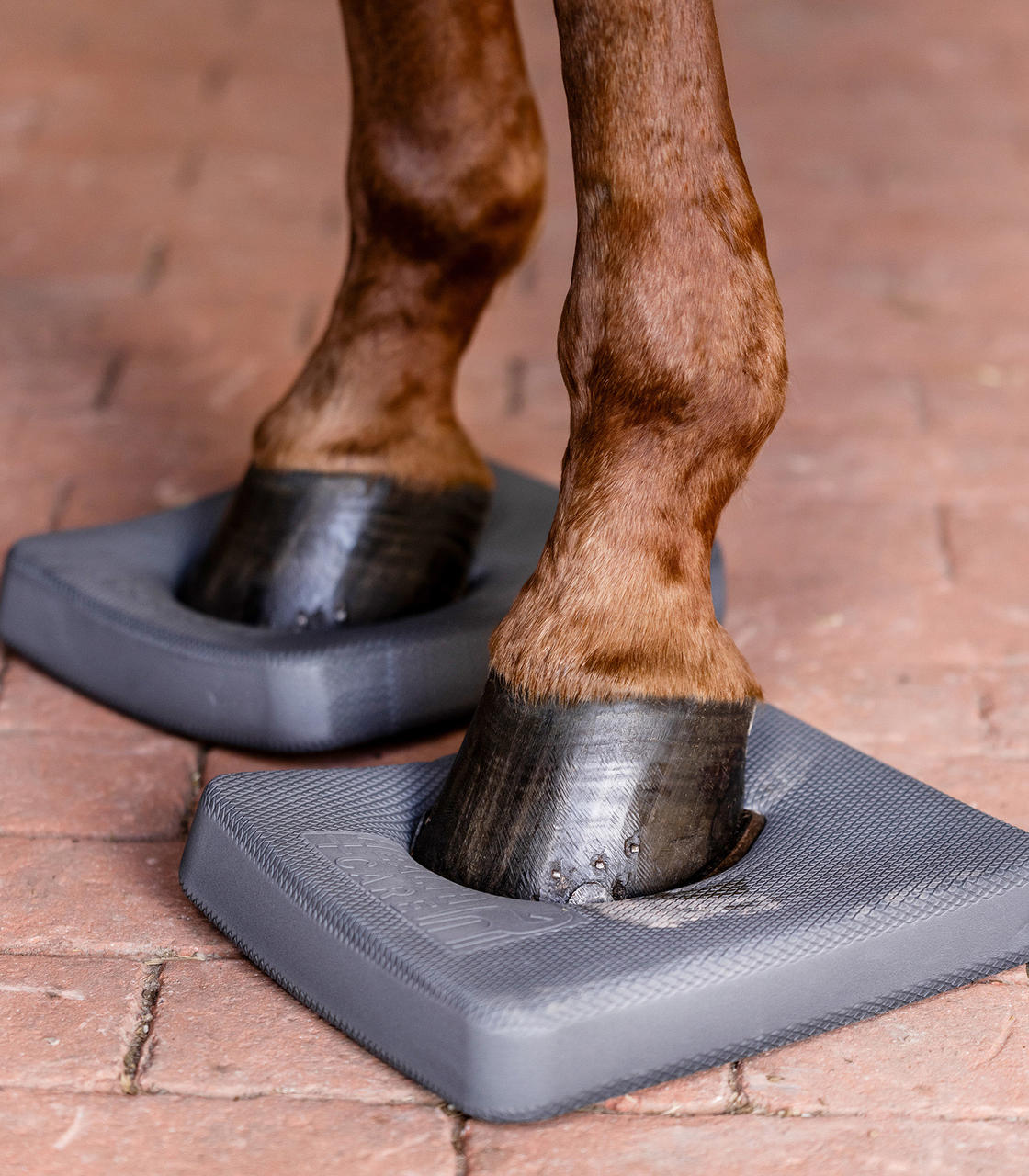 Waldhausen Health + Care Tappetini Balance Pad
