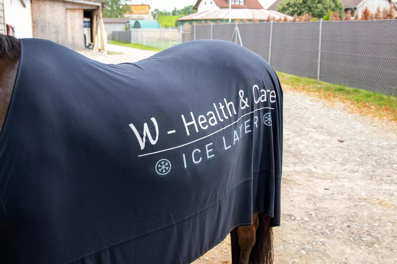 Waldhausen Health + Care Ice Layer Decke