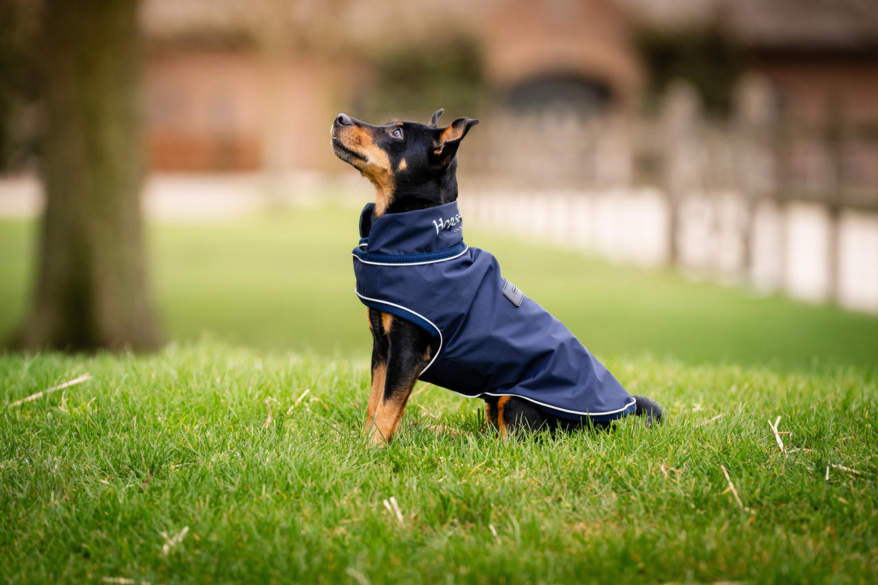 Horseware Impermeabile per cani firmato Horseware Impermeabile per cani firmato