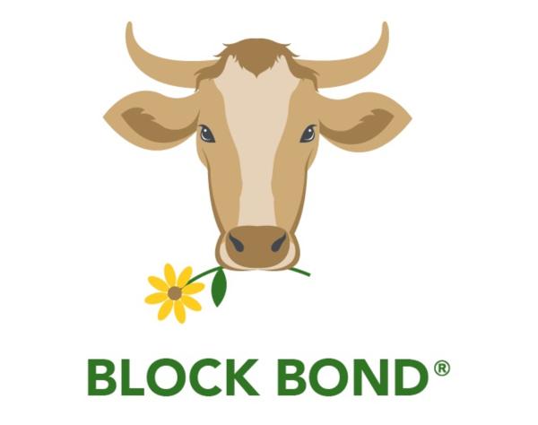 BLOCK BOND