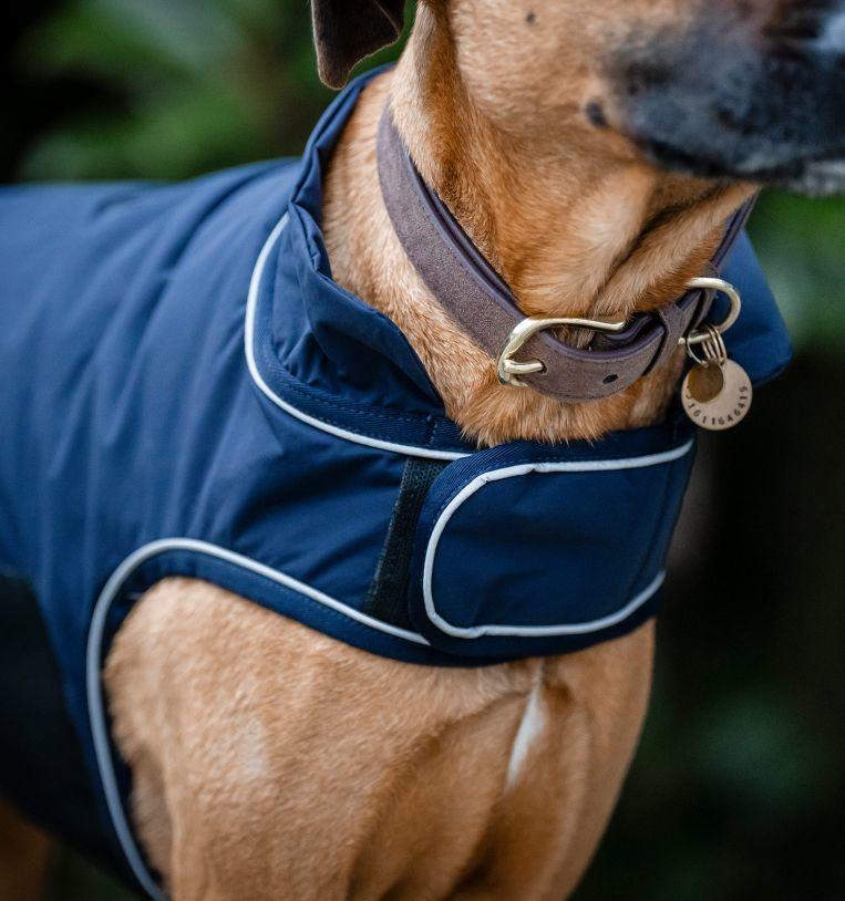 Horseware Signature Dog Rain Coat 100g