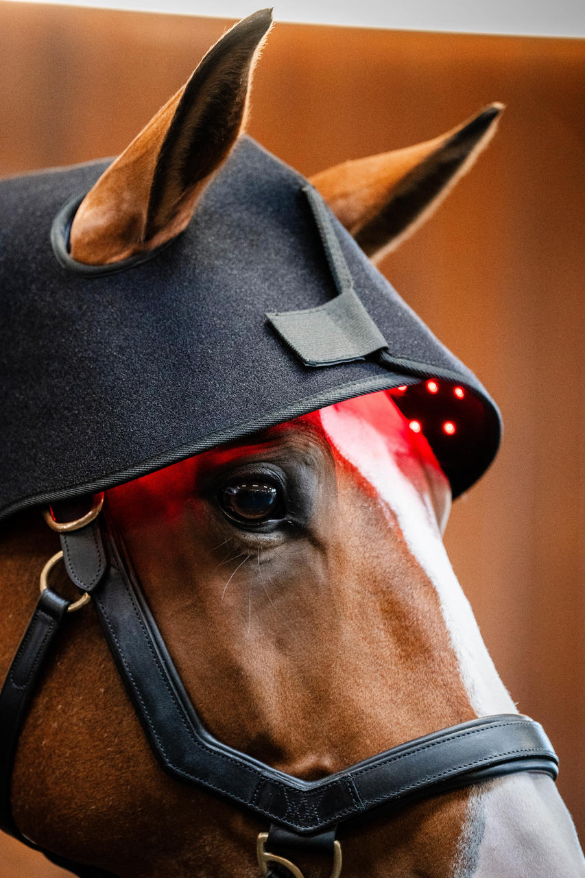 Horseware Cappuccio per sondino con luce rossa a LED