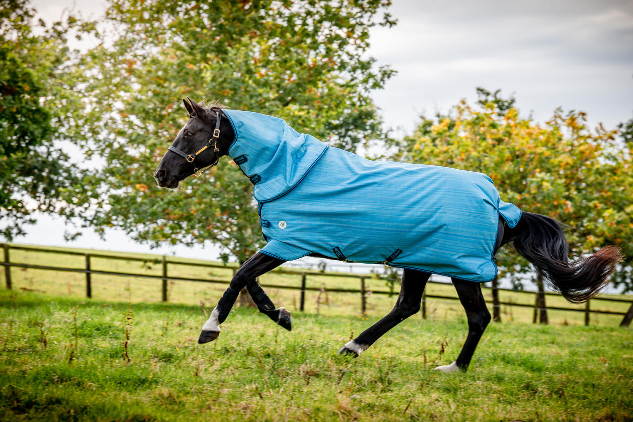 Couverture Amigo Hero 900 Revive Plus 200g Horseware Couverture Amigo Hero 900 Revive Plus 200g Horseware