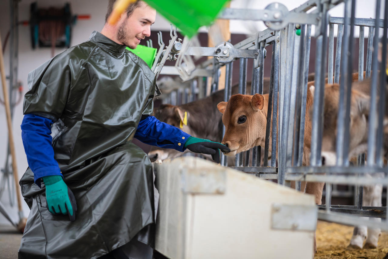 Kruuse Grembiule veterinario - verde, estremamente resistente agli strappi