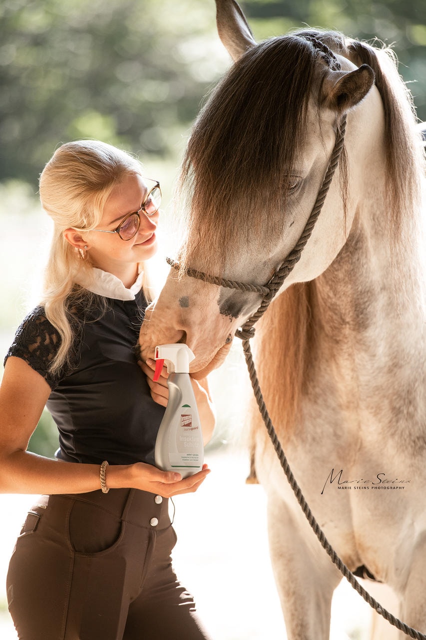 Zedan Insektenschutz - horseguard -
