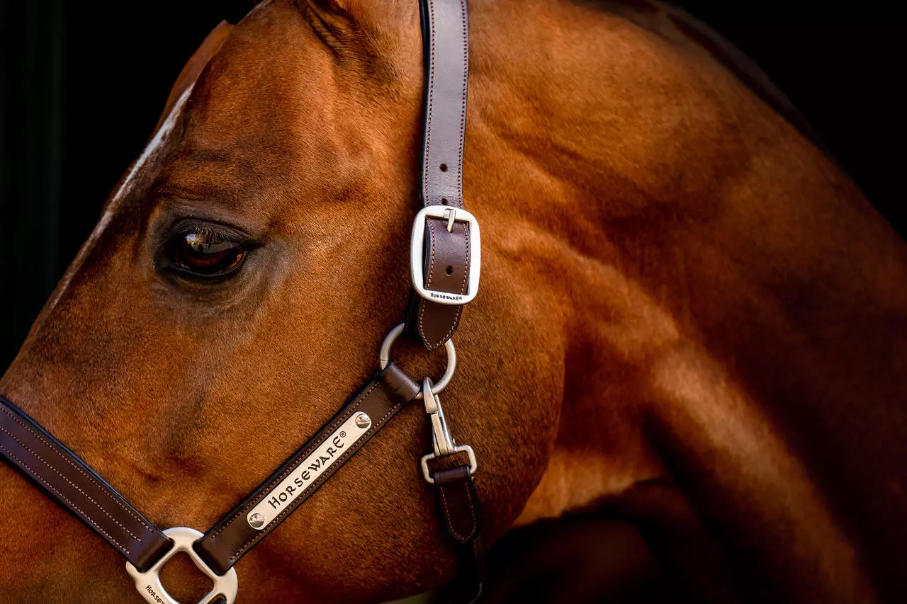Horseware Signature Leather Headcollar