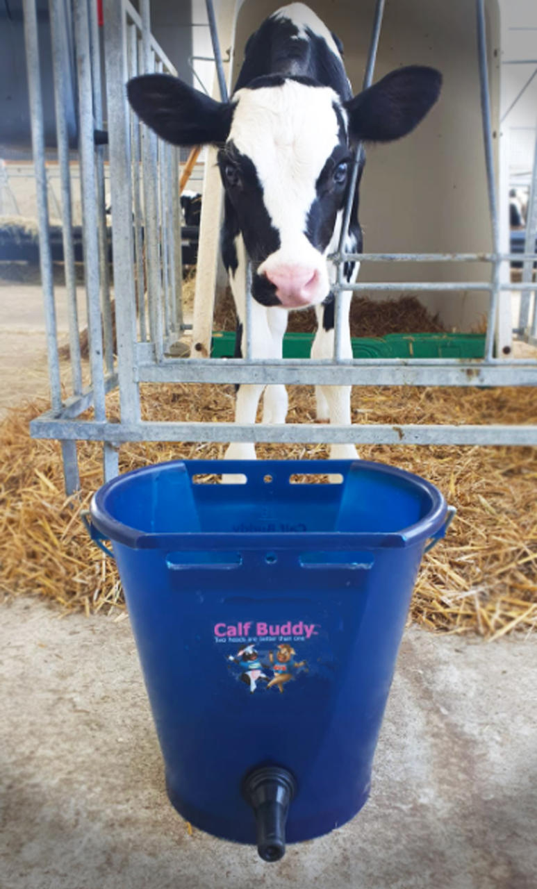 Hiko Calf Buddy-Kälbertränkeimer CB1 - 9l