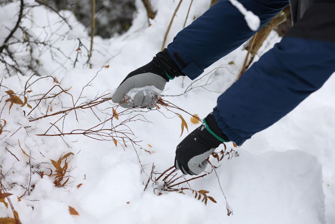 Kerbl Winterhandschuh Winter Lite