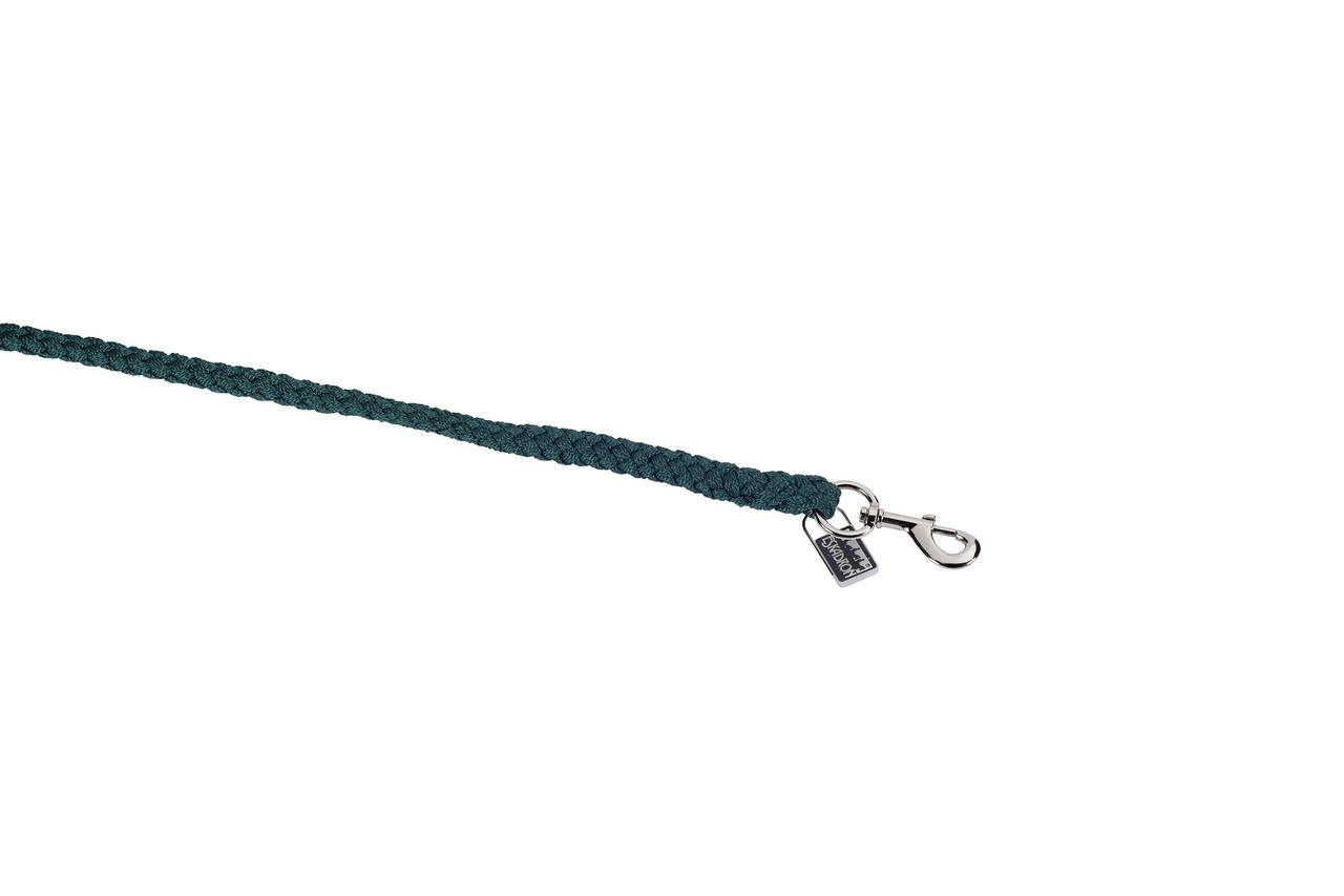 Eskadron Führstrick mit Karabiner silber
