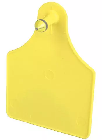 Caisley FLEXOPLUS Ohrenmarke D 25 Stk Dornteil