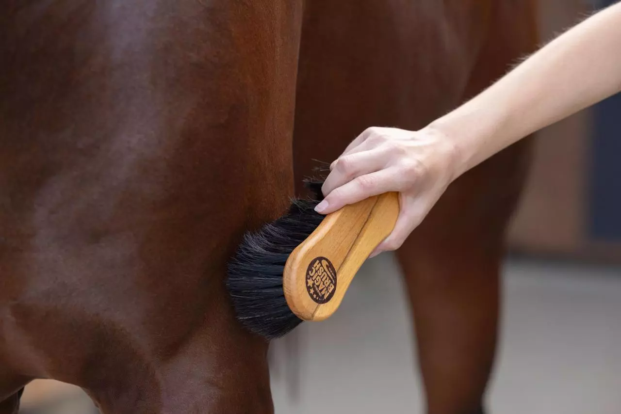 MagicBrush Reinigungsbürste grob