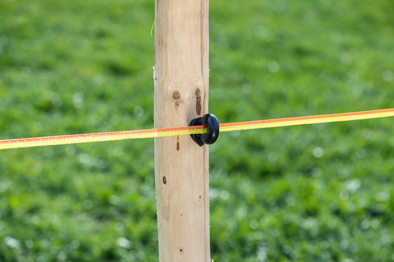 WAHL-FENCE Nastro di recinzione per pascoli - BASIC - 10 mm / 200 m
