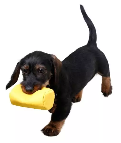 Kerbl Snack Dummy