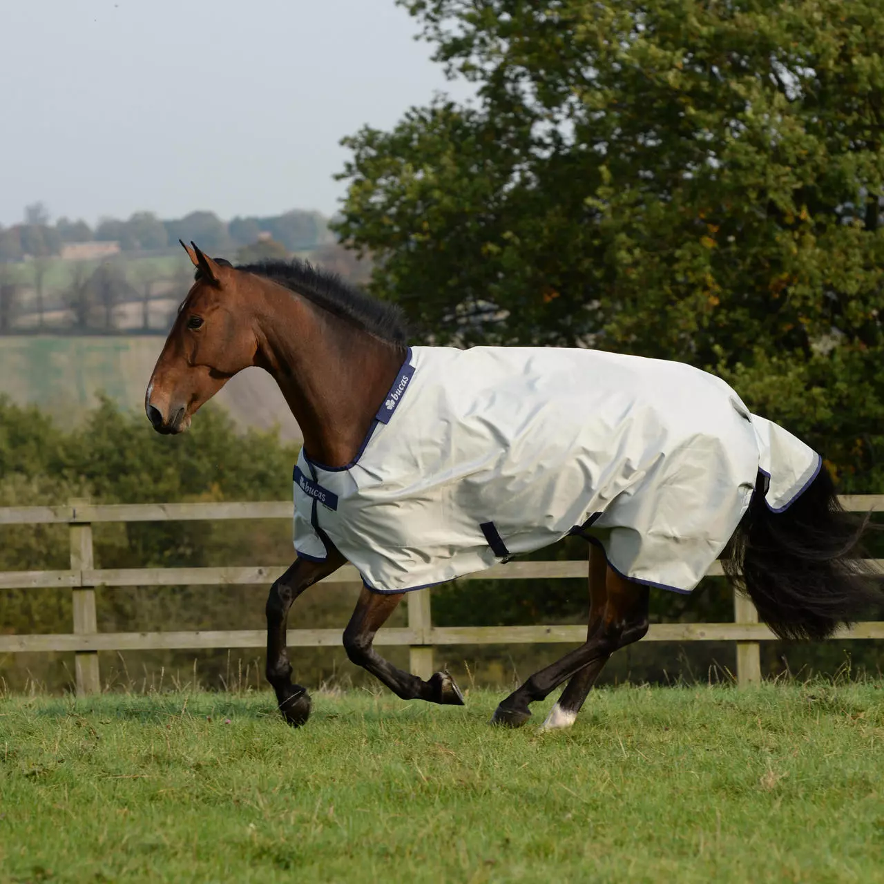 Bucas Power Turnout Light 0g