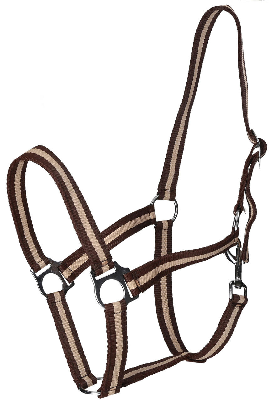 WAHL-Hausmarke HoldMe Halfter