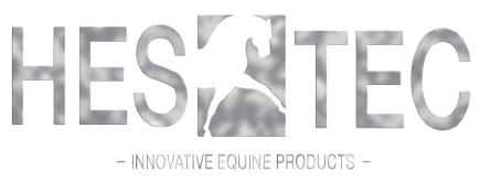 Logo_HESTEC