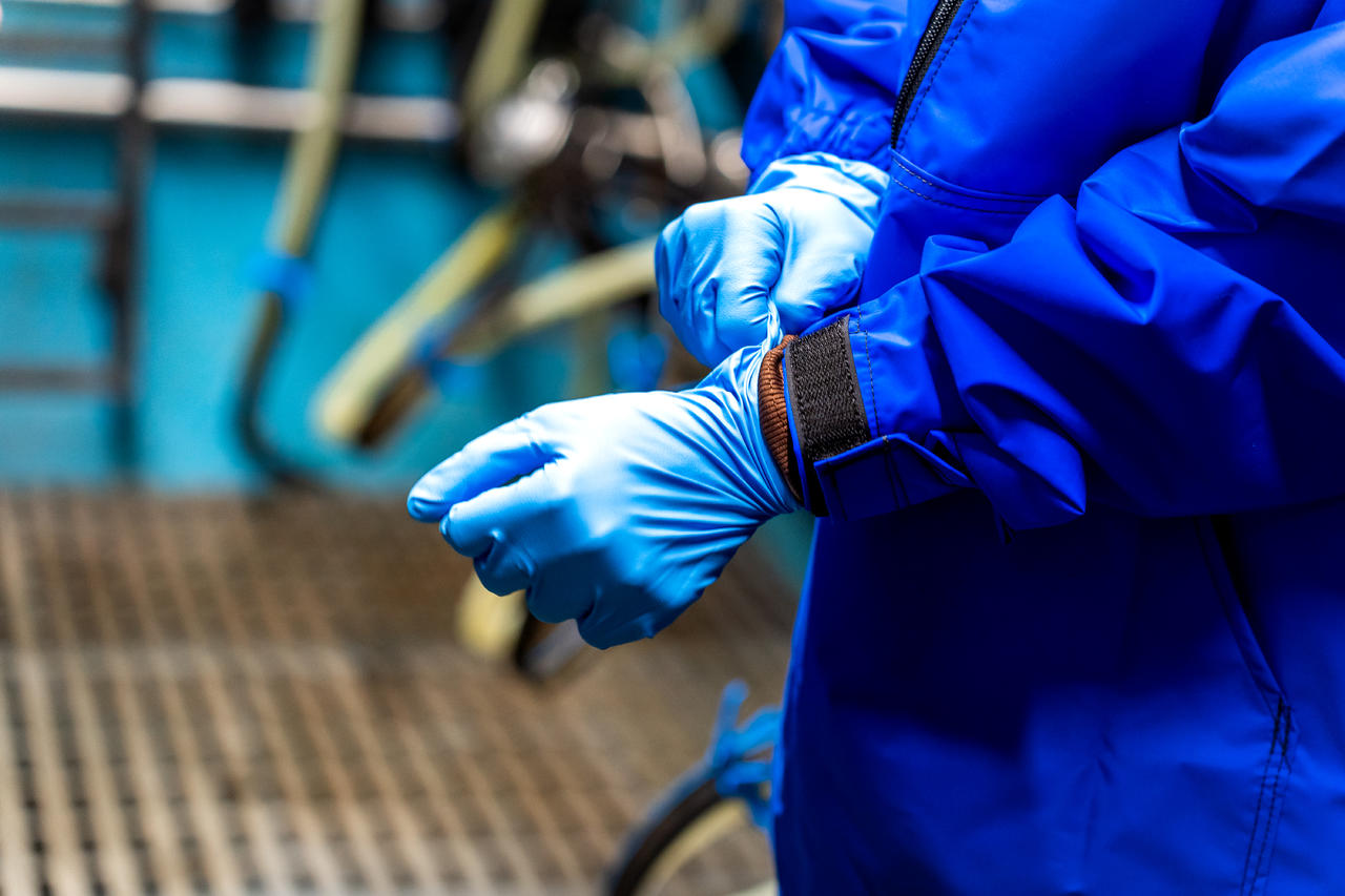 WAHL-Hausmarke Melkhandschuh BLUE-NITRILE 5,5 mil