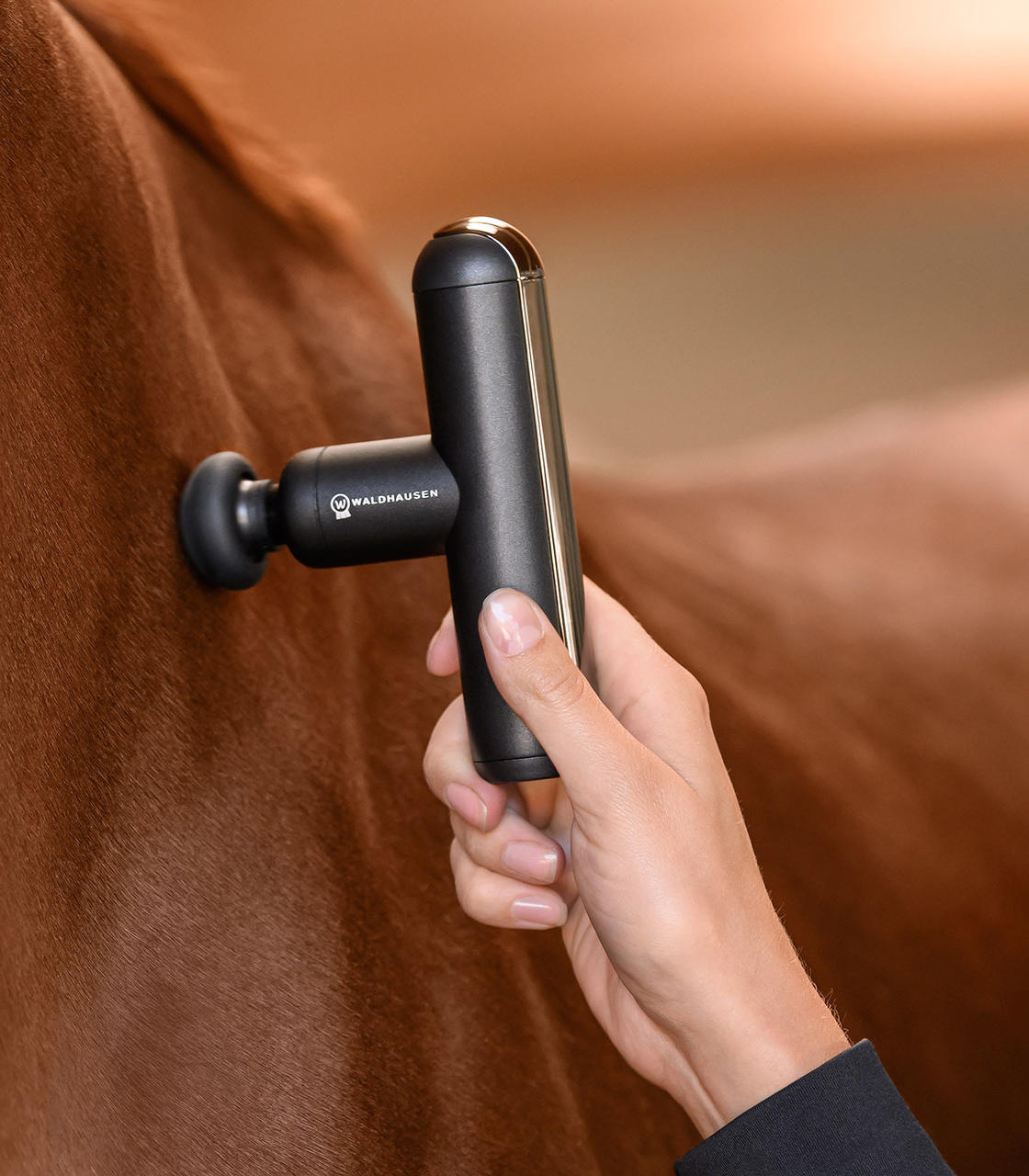 Waldhausen Health + Care Pistola massaggiante PocketRelax
