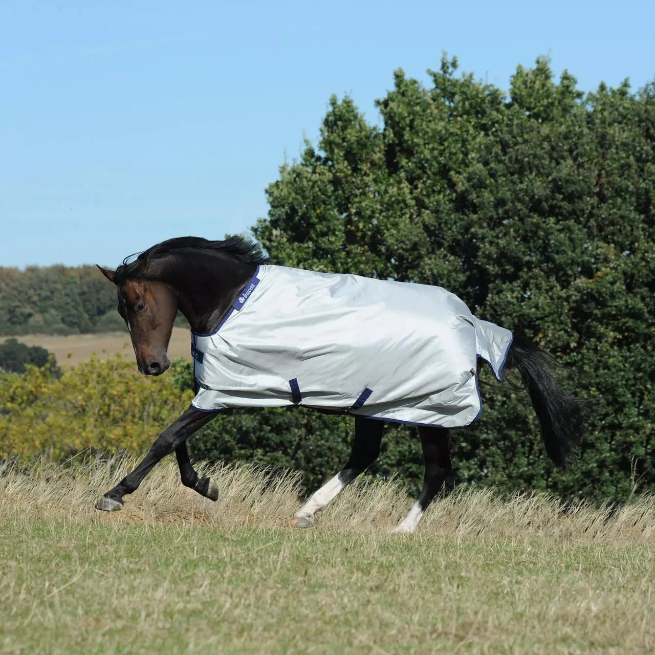 Bucas Power Turnout Light 0g