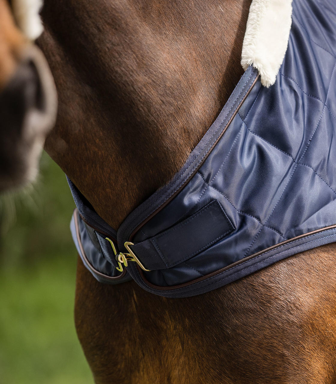 Waldhausen Coperta da giostra meccanica Exclusive, 50 g