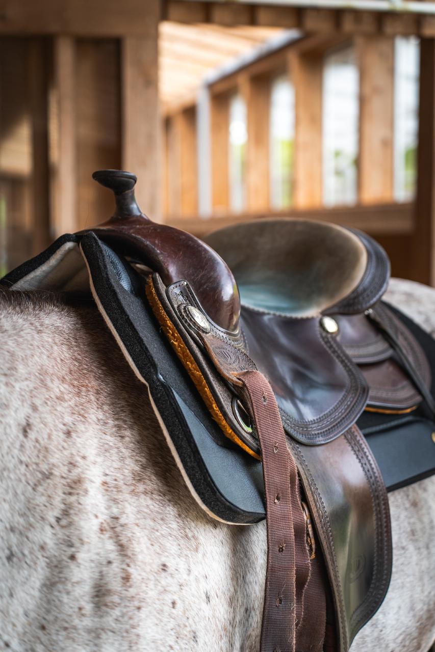 Back on Track Maddox Western Pad