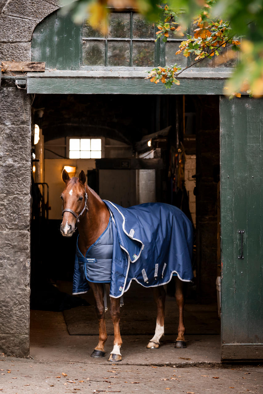 Horseware Sous-couverture Liner 50g