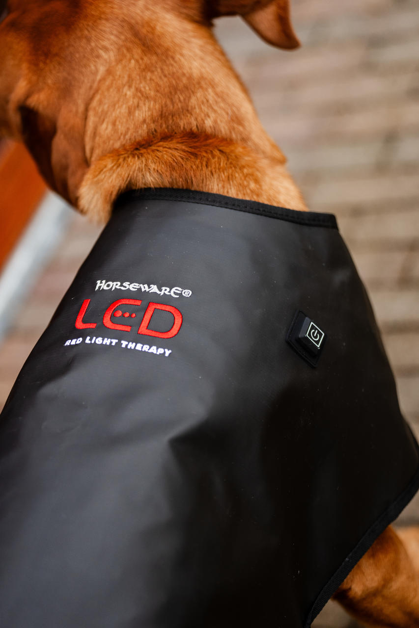 Horseware Cappottino per animali domestici con terapia a luce rossa