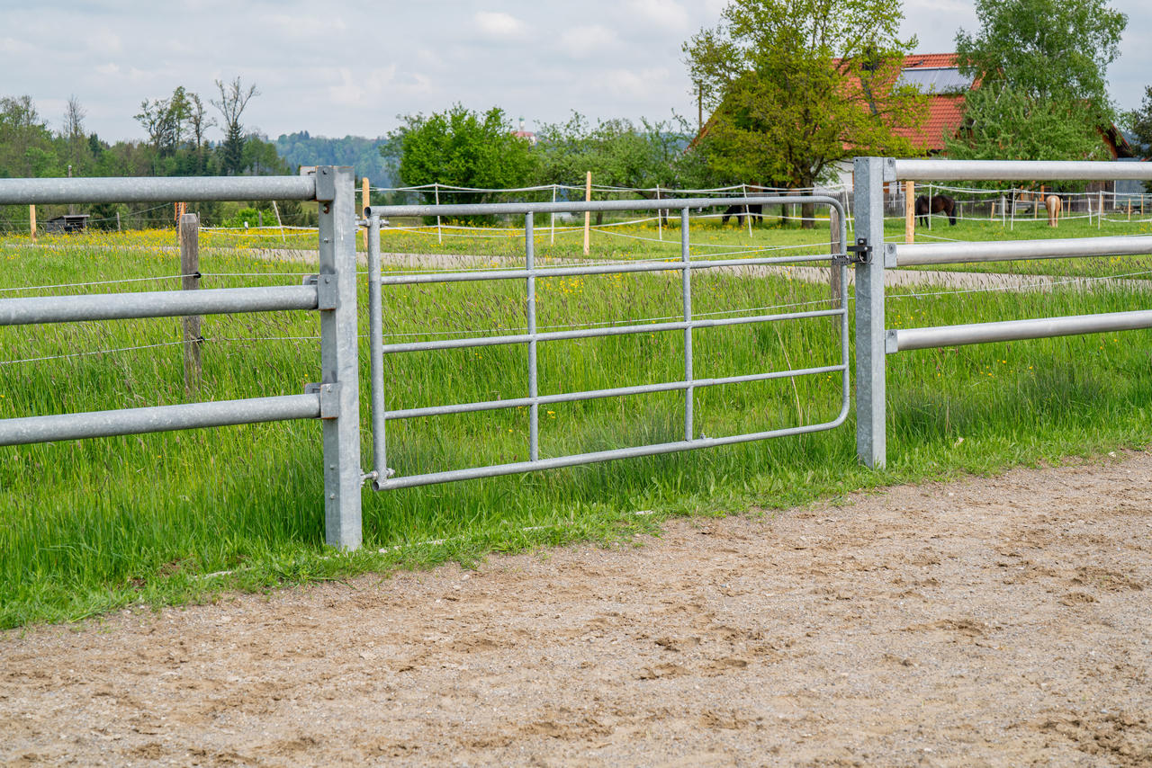 WAHL-FENCE Weidetor verstellbar - Standard - versch. Größen