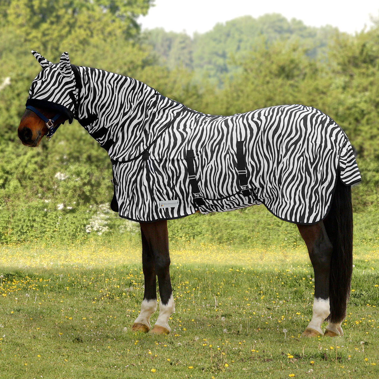 Waldhausen Coperta antimosche Zebra