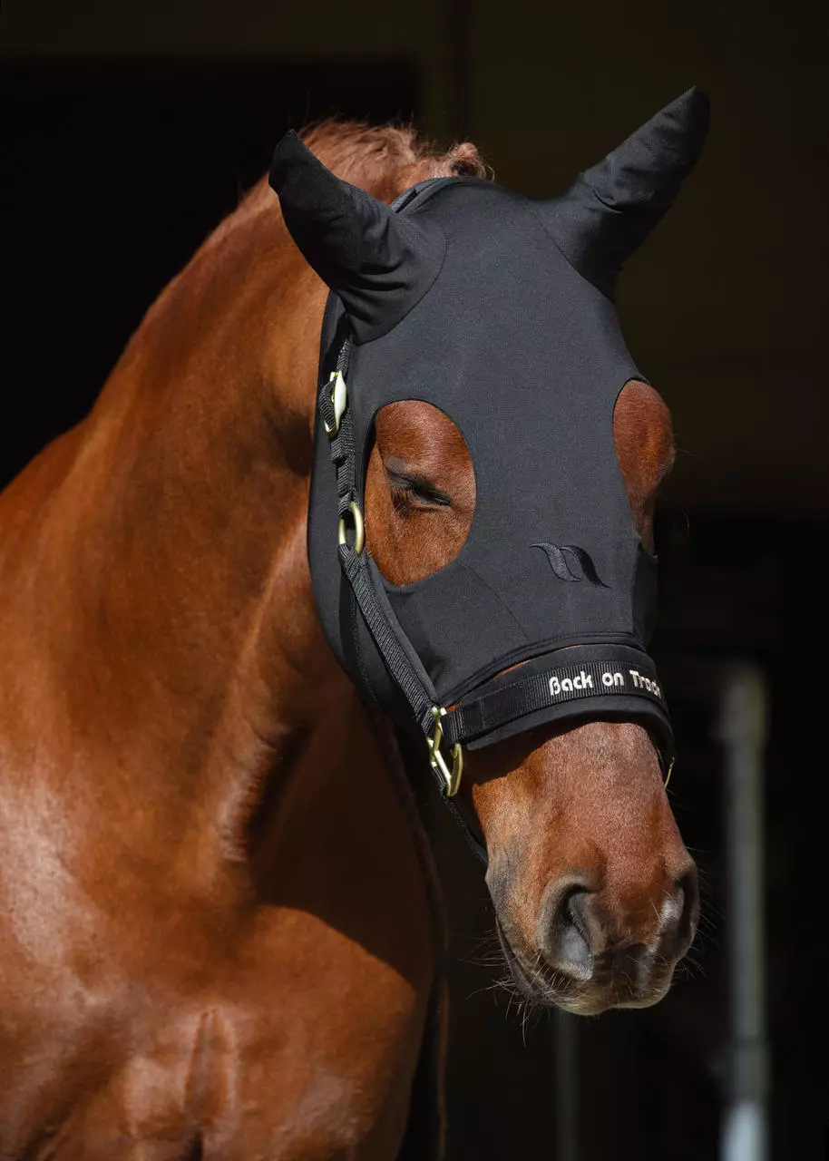 Back on Track Werano Halfter