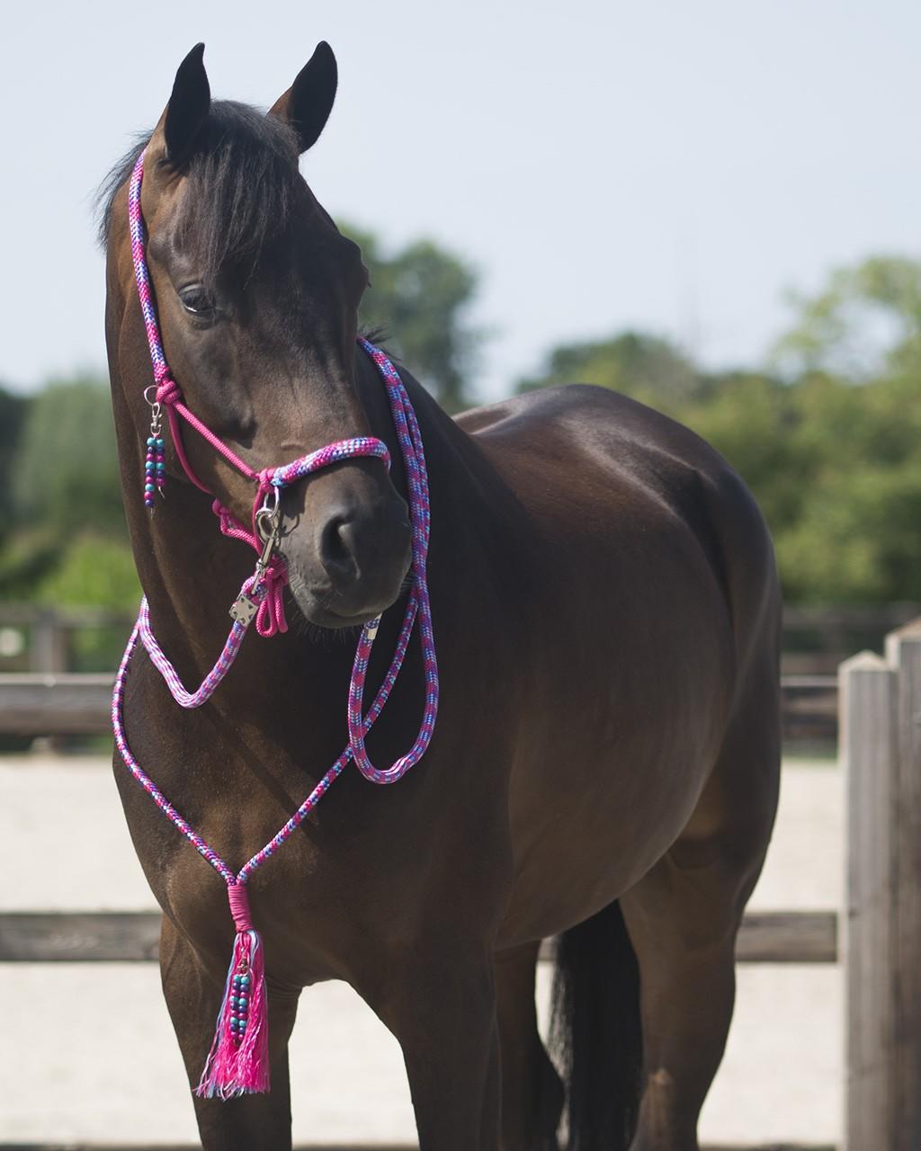 QHP Knotenhalfter Set Liberty