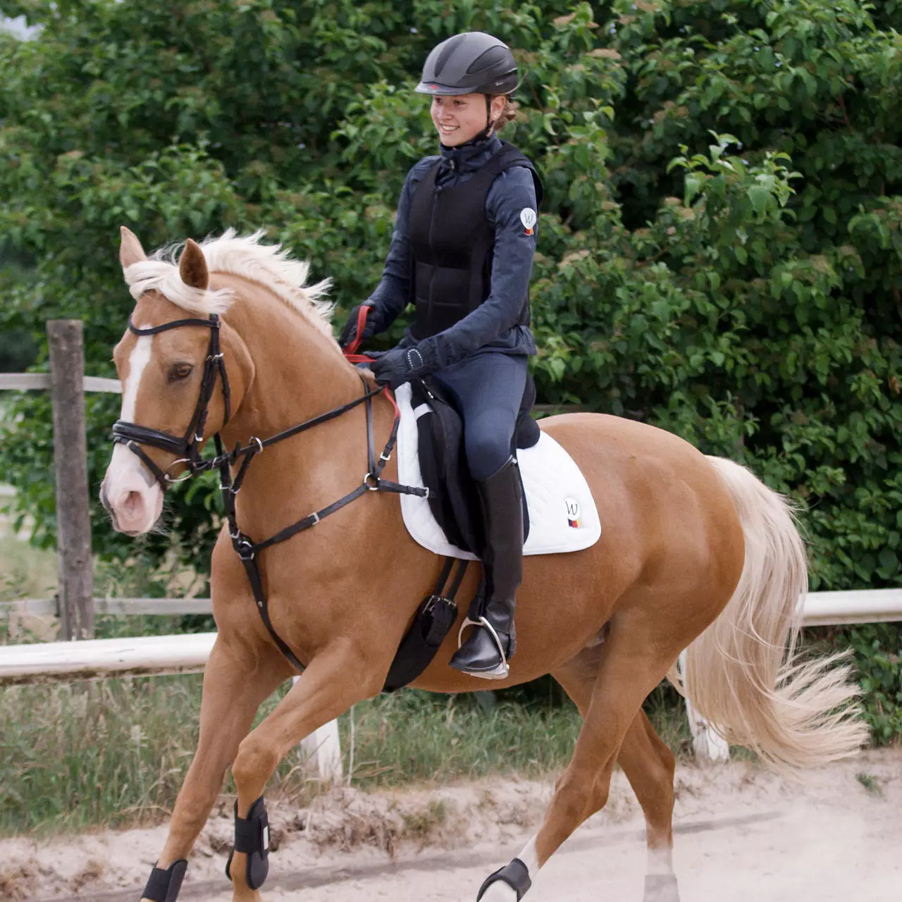 Waldhausen Vorderzeug m. Sicherheitszügel Secutrust