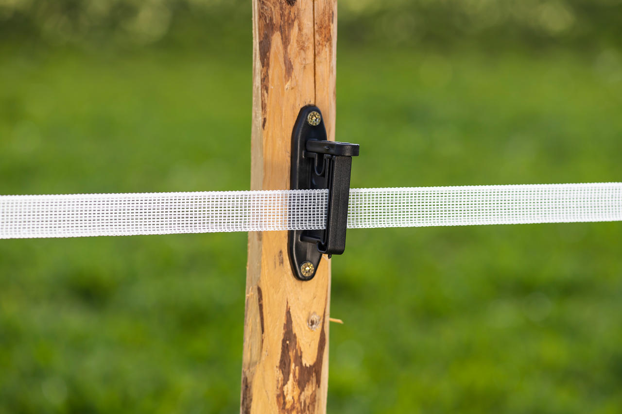 WAHL-FENCE Nastro di recinzione per pascoli - BASIC - 20 mm / 200 m